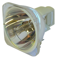 AVIO iP-30 Lampe ohne Modul