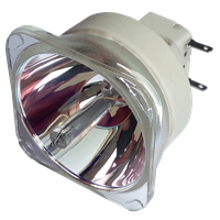 BENQ SH964 (Lamp 2) Lampe ohne Modul