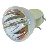 CANON LV-X310ST Lampe ohne Modul