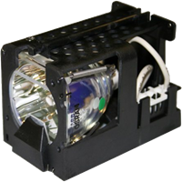 CTX EzPro 705H Lampe mit Modul