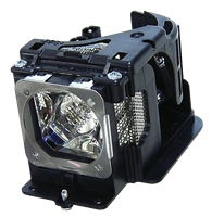 EIKI LC-XB33 Lampe mit Modul