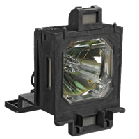 EIKI LC-XG500L Lampe mit Modul