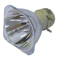NEC M352WSG Lampe ohne Modul