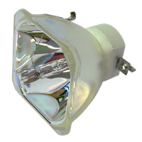 NEC M361XC Lampe ohne Modul