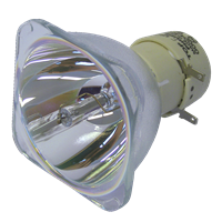 NEC M403HG Lampe ohne Modul