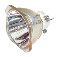 NEC NP-PA803U-41ZL Lampe ohne Modul