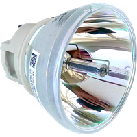 OPTOMA HD39DARBEE Lampe ohne Modul