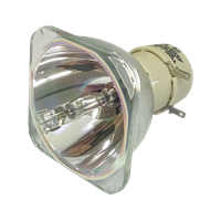 OPTOMA W319USTi Lampe ohne Modul