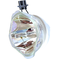 PANASONIC PT-DZ780LWE Lampe ohne Modul