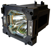SANYO POA-LMP149 (610 357 0464) Lampe mit Modul