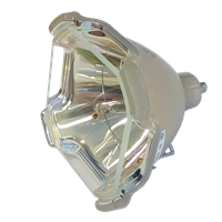 SANYO POA-LMP149 (610 357 0464) Lampe ohne Modul