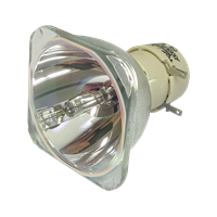 VIEWSONIC PJD5350LS Lampe ohne Modul
