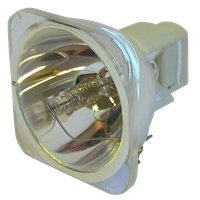 VIEWSONIC RLC-046 Lampe ohne Modul