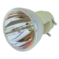 VIVITEK DU3341 Lampe ohne Modul